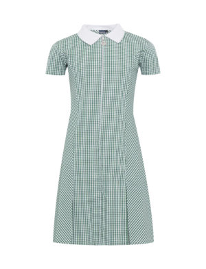 Banner Avon Green Gingham Summer Dress