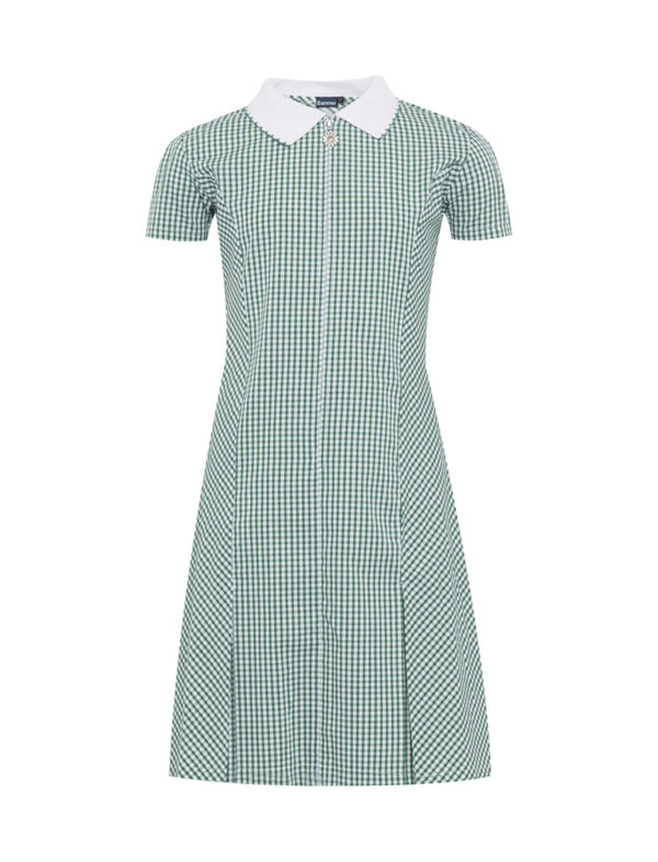 Banner Avon Green Gingham Summer Dress