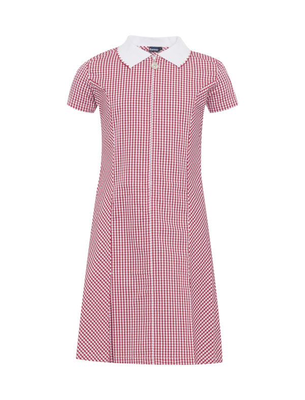 Banner Avon Red Gingham Summer Dress