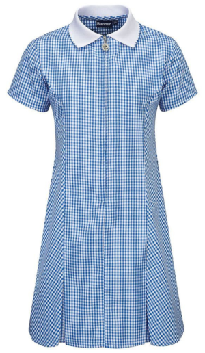 Banner Avon Blue Gingham Summer Dress