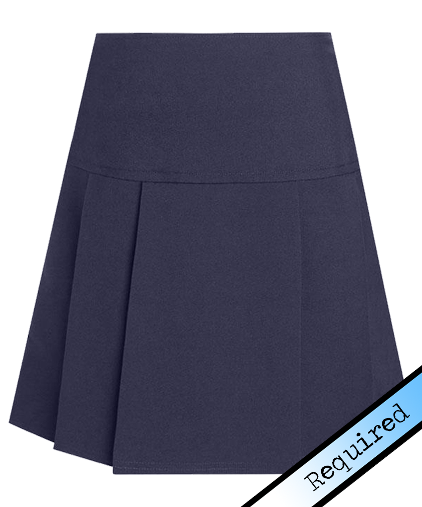 David Luke Junior Drop Waist Pleated Skirt - The School Shop UK