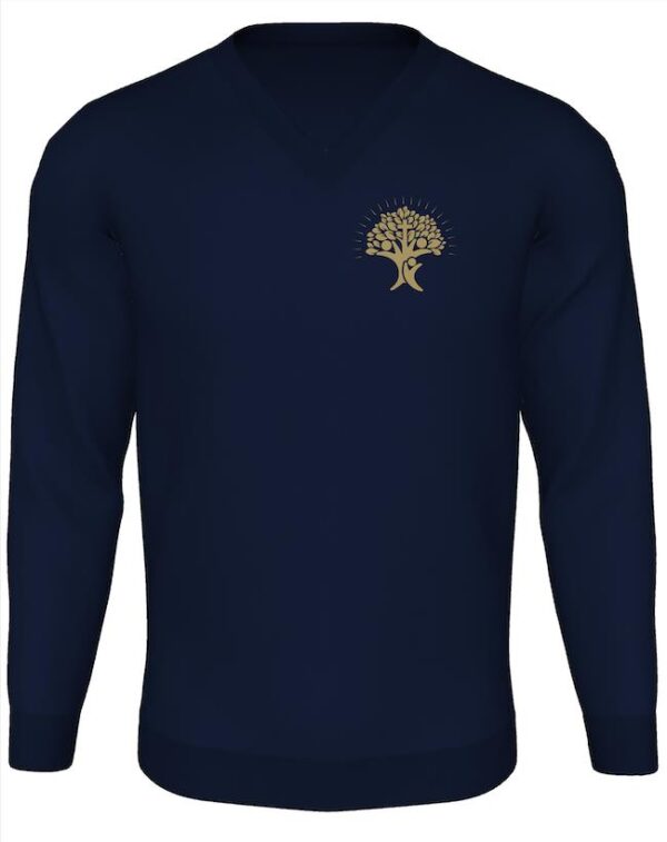 Pinvin Federation V-Neck Sweatshirt (Y5-7)