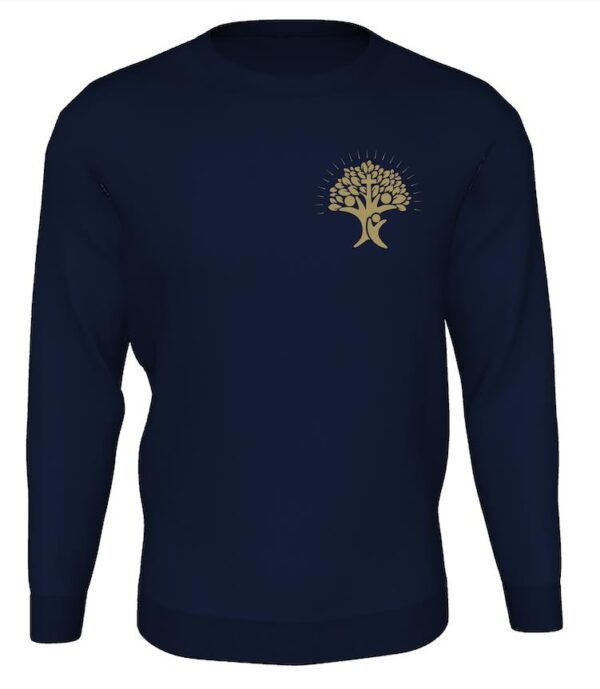 Pinvin Federation Sweatshirt (EYFS-Y4)