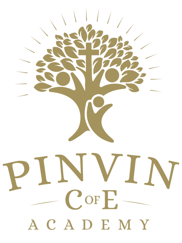 pinvin-academy-logo-gold