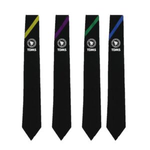 The De Montfort School Tie - Ambition (Blue)
