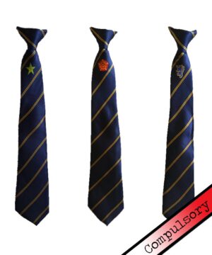 Chipping Campden Tie - Feraby (Royal)