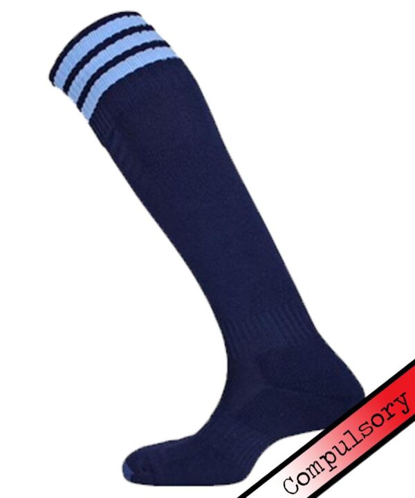 Blue 3 Stripe Sports Socks